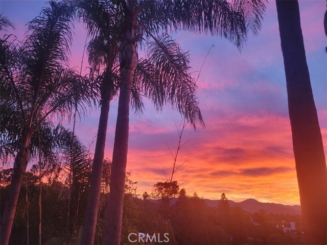 MLS #SW25231058 image #41