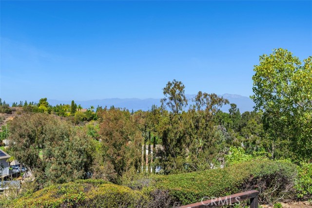 MLS #SW25231475 image #28