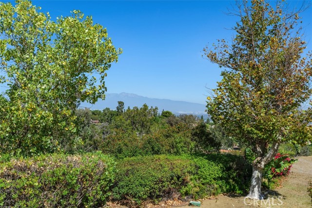 MLS #SW25231475 image #29