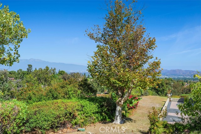 MLS #SW25231475 image #30