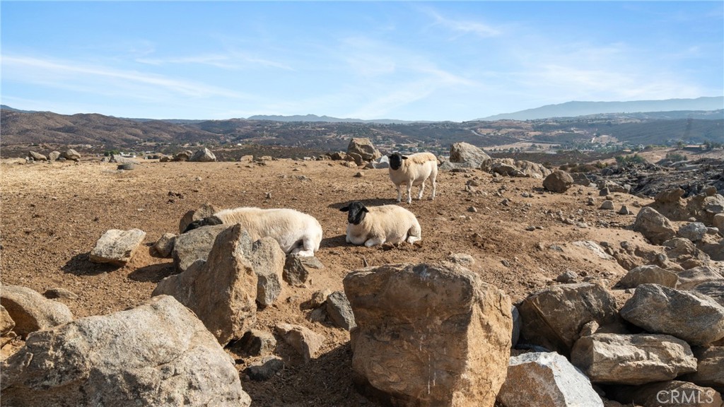 MLS #SW25231771 image #12