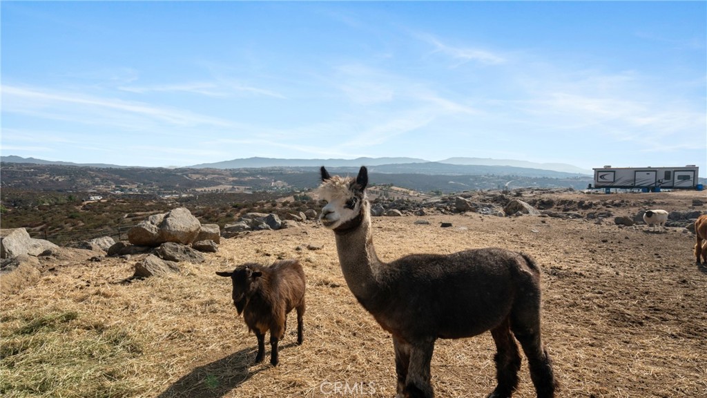 MLS #SW25231771 image #29