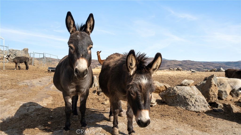 MLS #SW25231771 image #30