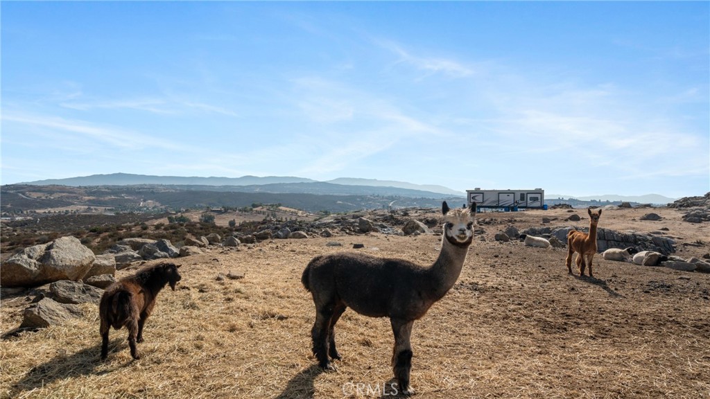 MLS #SW25231771 image #40