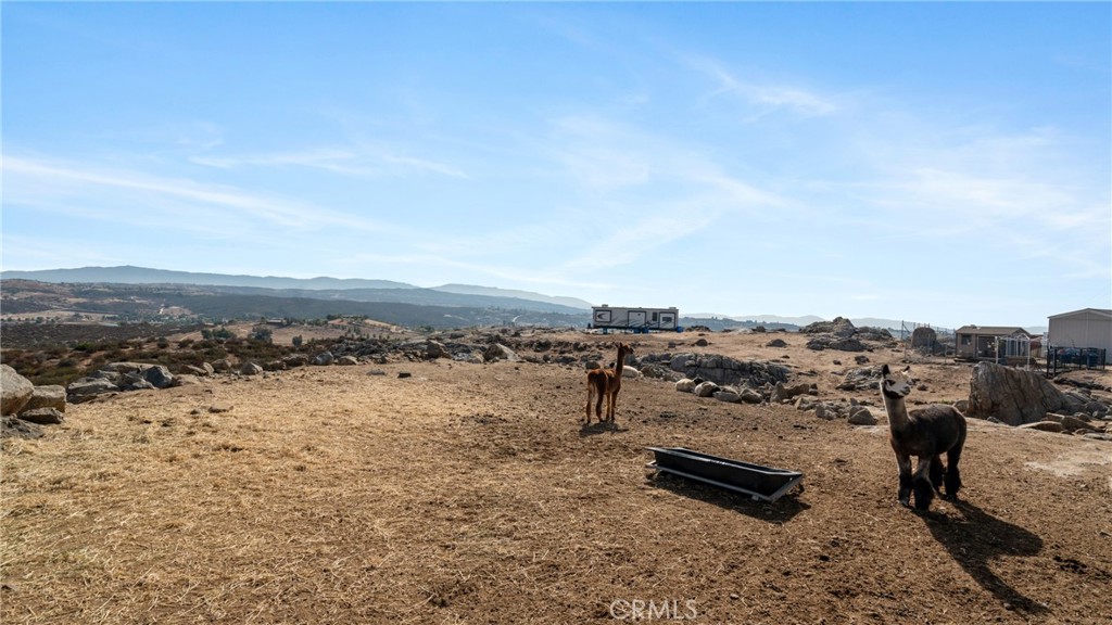 MLS #SW25231771 image #41