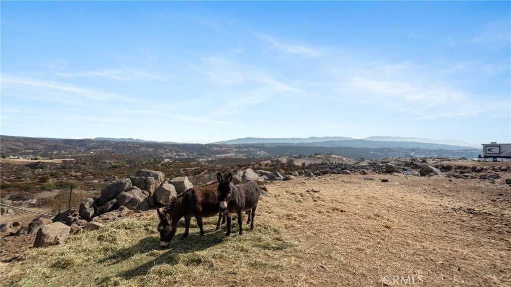 MLS #SW25231771 image #9