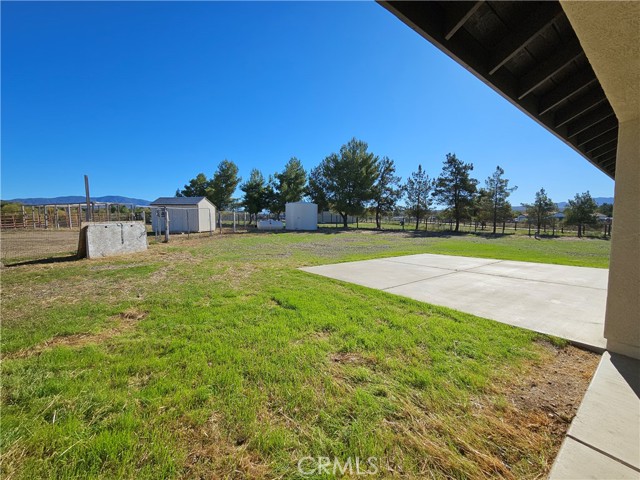 MLS #SW25232086 image #13