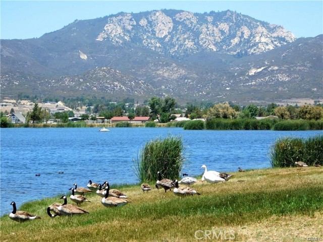 MLS #SW25232086 image #52