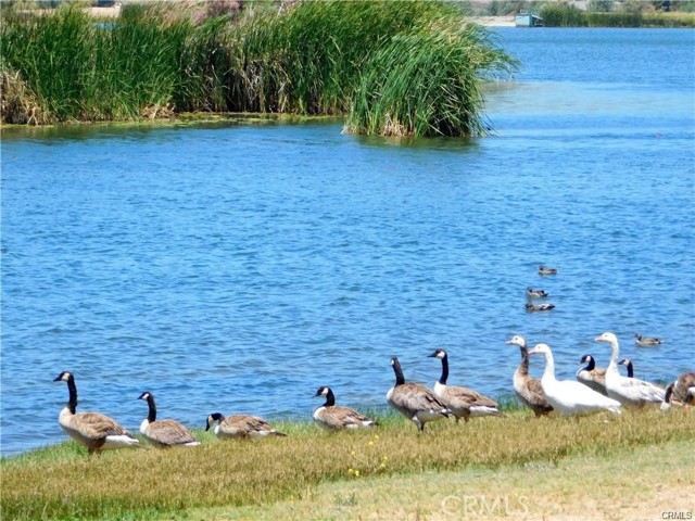 MLS #SW25232086 image #53