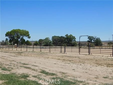 MLS #SW25232086 image #70