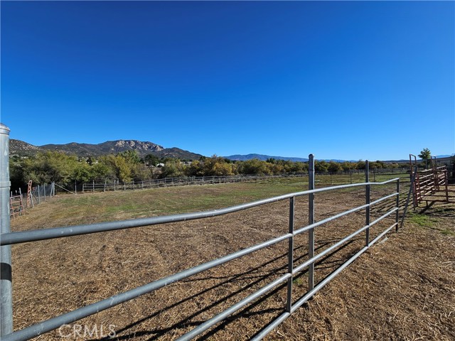 MLS #SW25232086 image #8