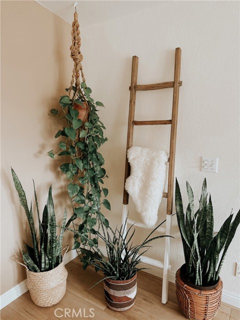 MLS #SW25232089 image #13