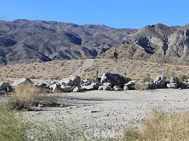 MLS #SW25232355 image #19