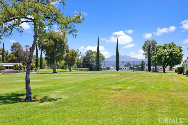 MLS #SW25232628 image #41
