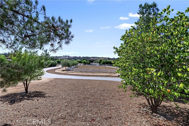 MLS #SW25232742 image #7