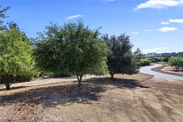 MLS #SW25232742 image #8