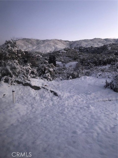 MLS #SW25233051 image #10