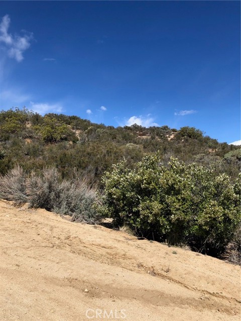 MLS #SW25233051 image #3