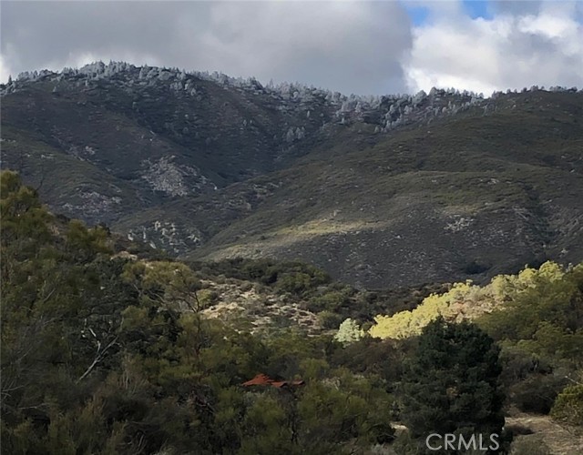 MLS #SW25233051 image #4