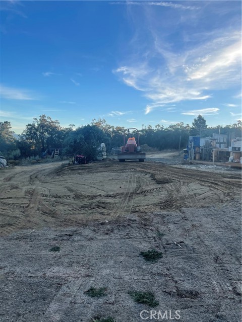 MLS #SW25233051 image #5