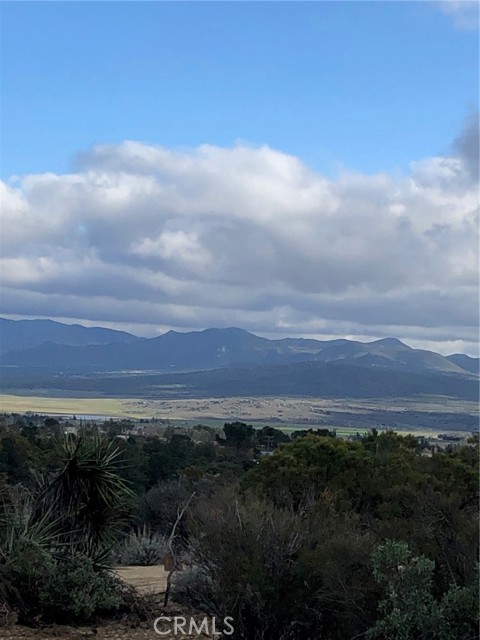 MLS #SW25233051 image #6