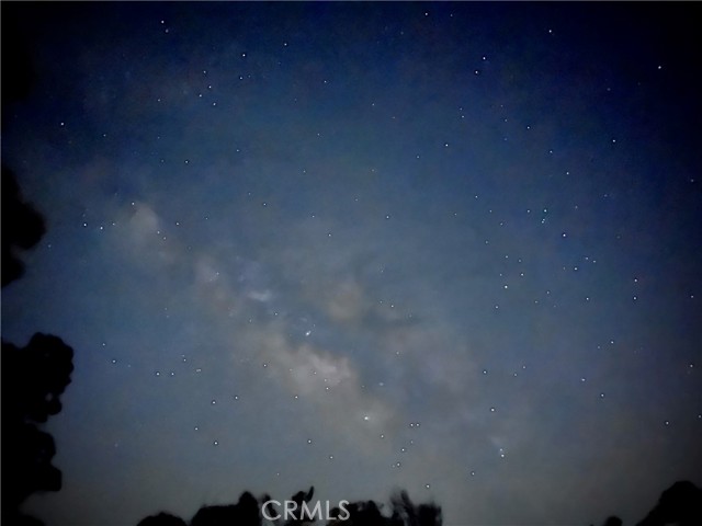MLS #SW25233051 image #7
