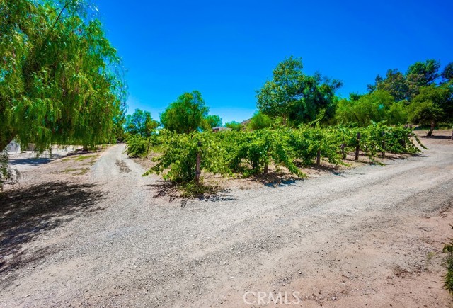 MLS #SW25233817 image #45