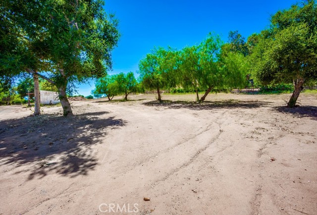 MLS #SW25233817 image #47