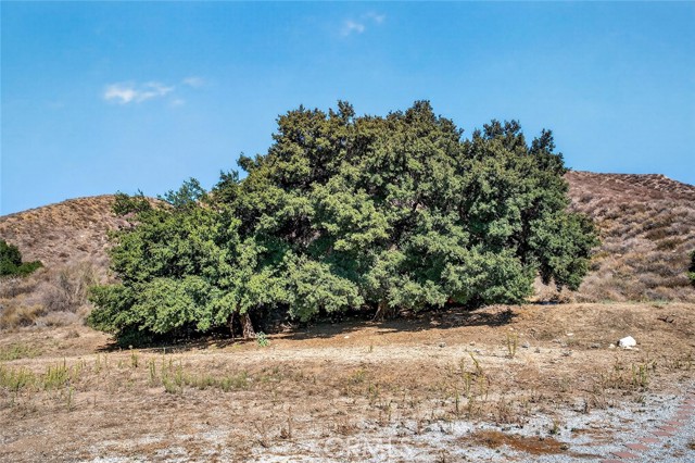 MLS #SW25233915 image #36