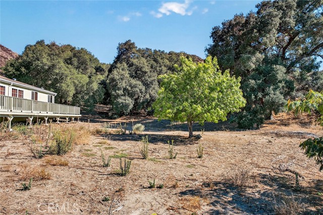 MLS #SW25233915 image #38