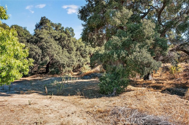 MLS #SW25233915 image #39