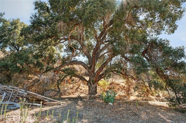 MLS #SW25233915 image #41