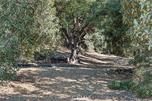 MLS #SW25233915 image #42
