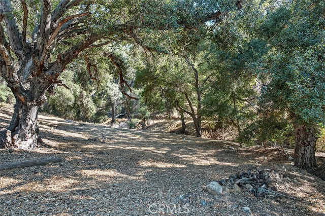 MLS #SW25233915 image #43