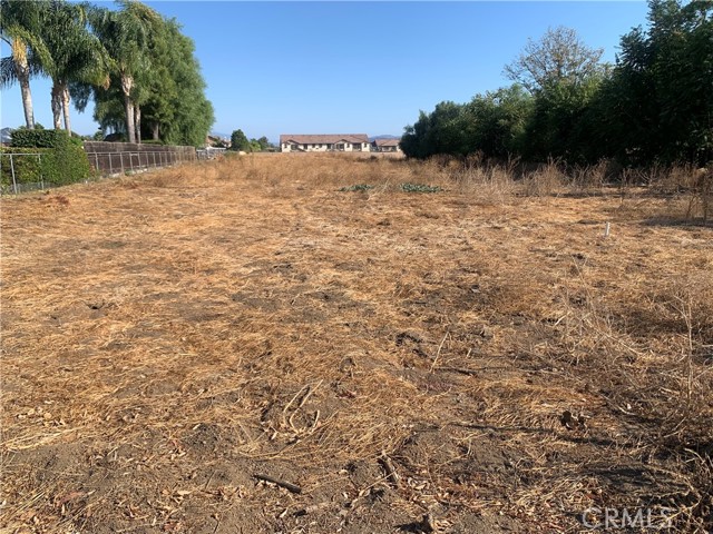 MLS #SW25234300 image #2