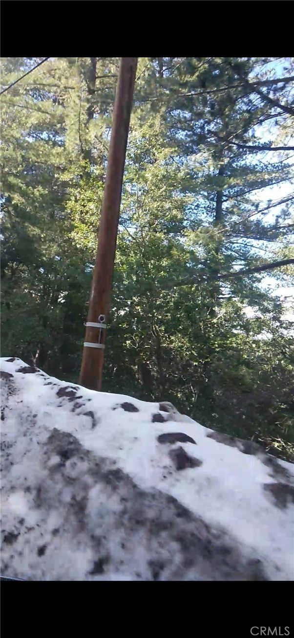 MLS #SW25234319 image #1