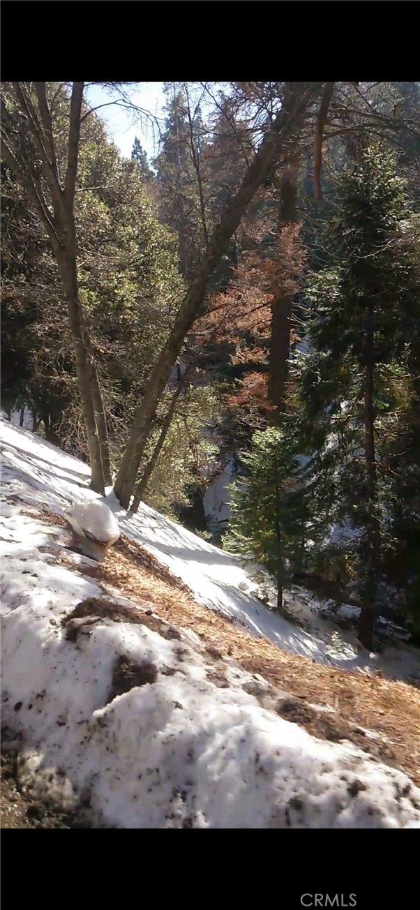 MLS #SW25234319 image #10