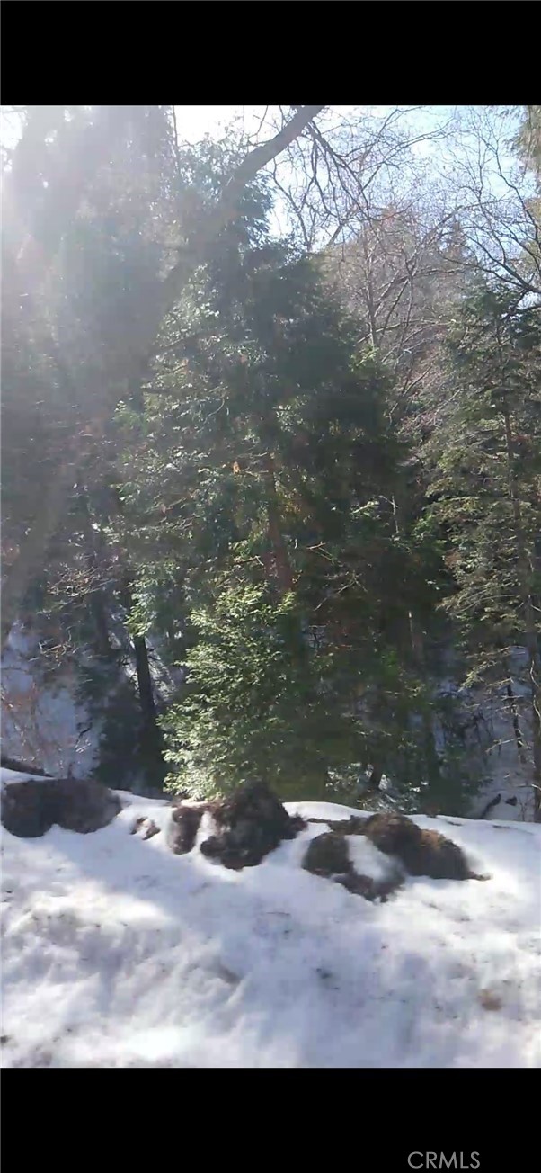 MLS #SW25234319 image #11