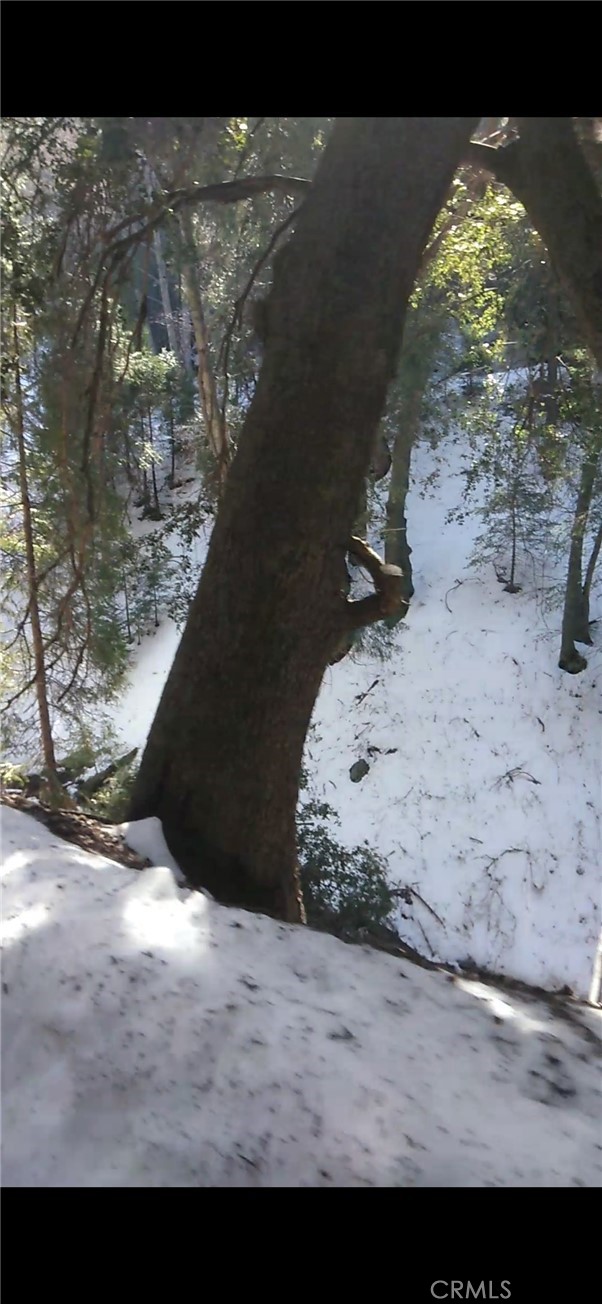 MLS #SW25234319 image #12