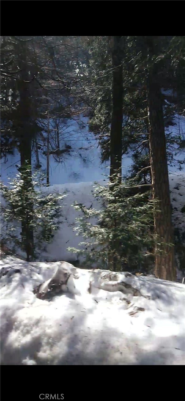 MLS #SW25234319 image #16