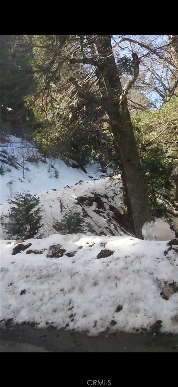 MLS #SW25234319 image #18