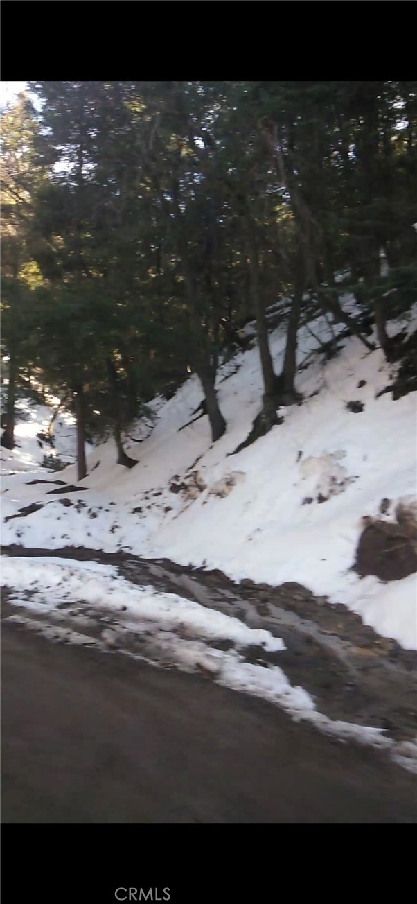 MLS #SW25234319 image #2