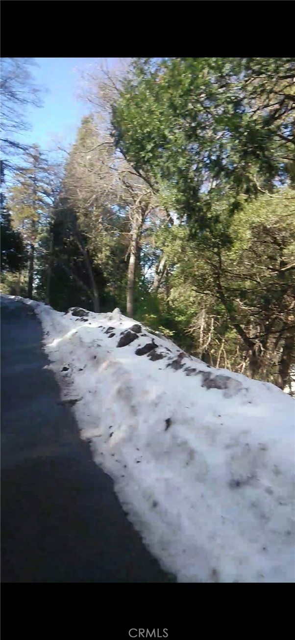 MLS #SW25234319 image #21