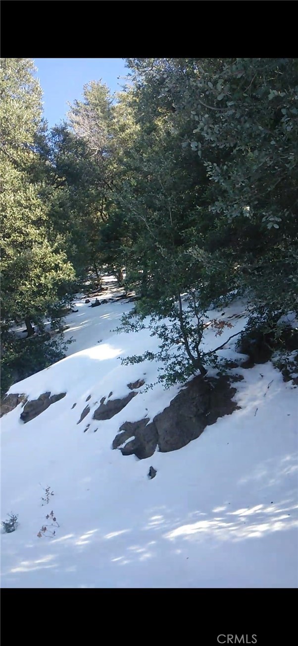 MLS #SW25234319 image #23