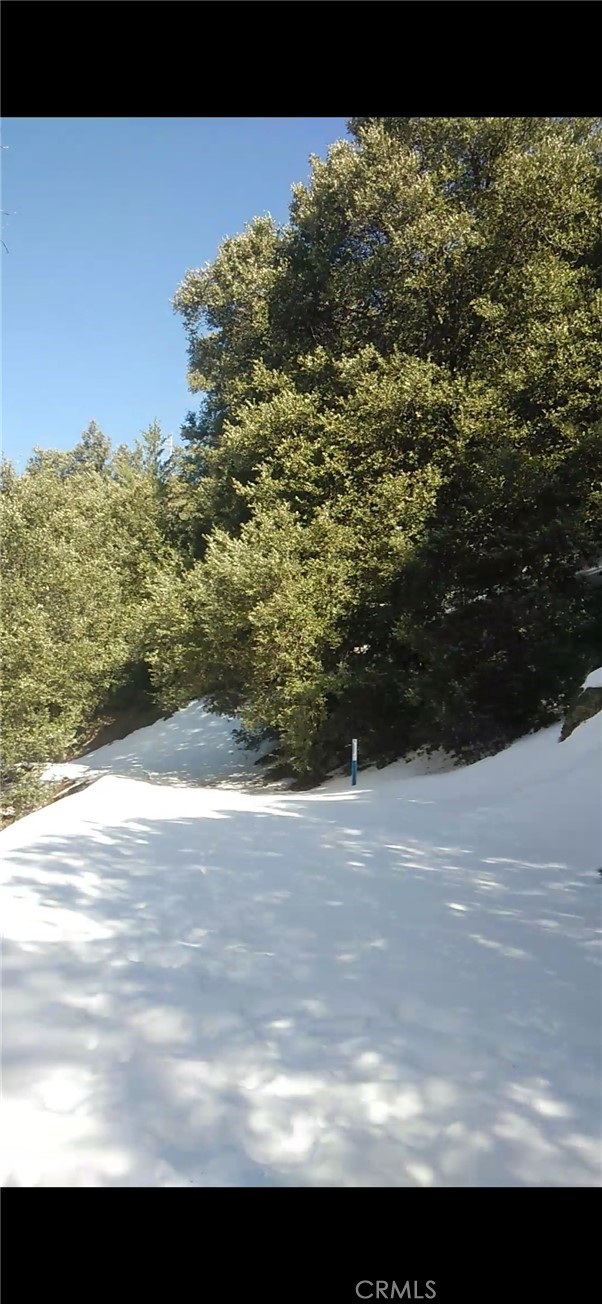 MLS #SW25234319 image #3