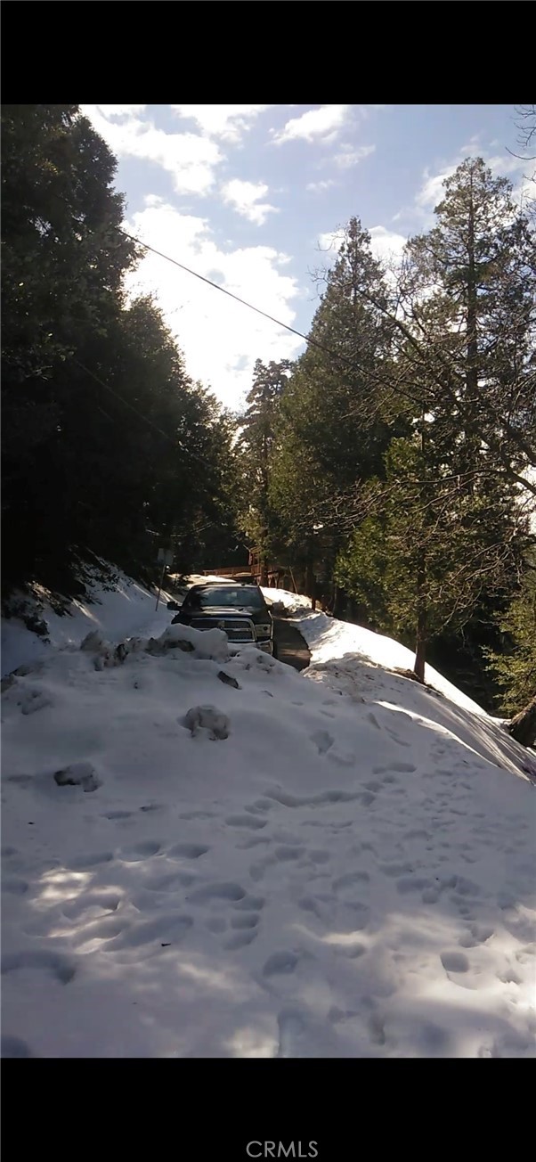 MLS #SW25234319 image #4