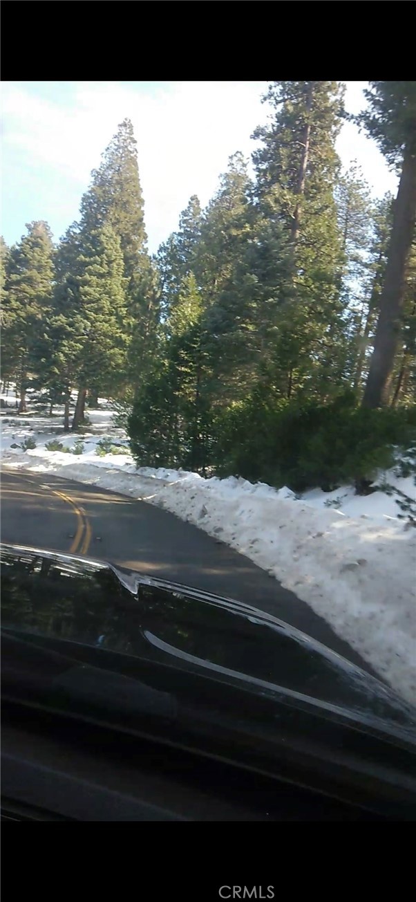 MLS #SW25234319 image #5