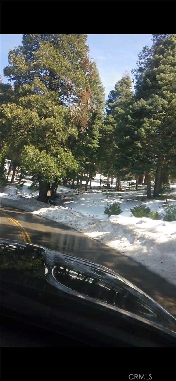 MLS #SW25234319 image #6