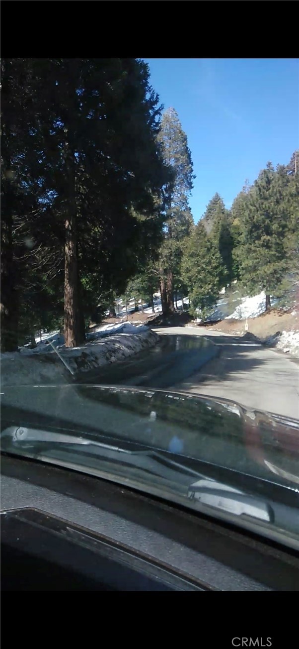 MLS #SW25234319 image #8