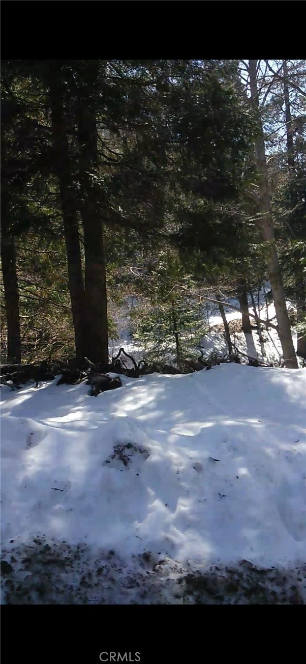 MLS #SW25234319 image #9